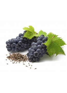 ÜZÜM ÇEKİRDEĞİ YAĞIvitis vinifera -  (Şişeli ve Dökme)