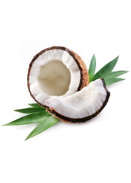 HİNDİSTAN CEVİZİ YAĞI  cocos nucifera - (Şişeli ve Dökme)  ( Gıda ve Kozm.)